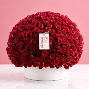 red rose bouquet with 1000 premium red roses arranged in a luxury round box, large dome floral arrangement for romantic occasions in Dubai