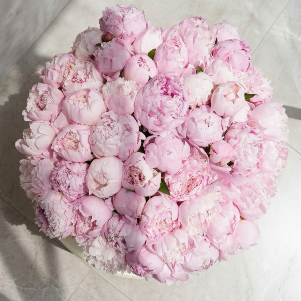 Peonies
