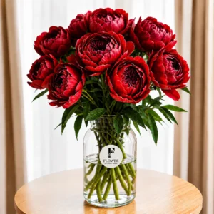 Send 10 red peonies in a luxury glass vase. Romantic, premium floral gift with same day flower delivery in Dubai. Perfect for special moments.